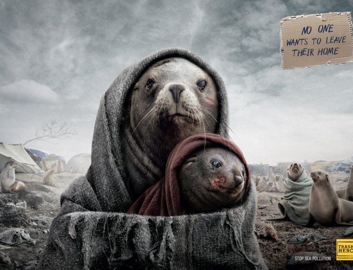 TRASH REFUGEES CAMPAIGN