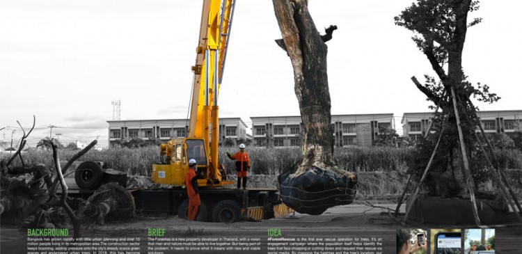 ForestRescue